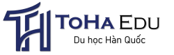 https://www.tohaedu.com